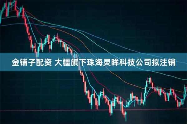 金铺子配资 大疆旗下珠海灵眸科技公司拟注销