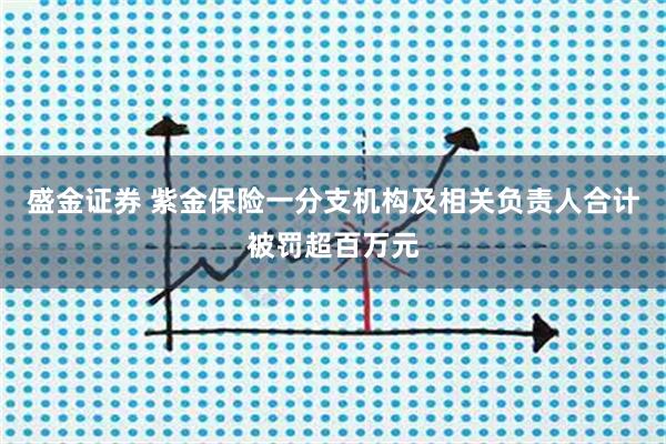 盛金证券 紫金保险一分支机构及相关负责人合计被罚超百万元