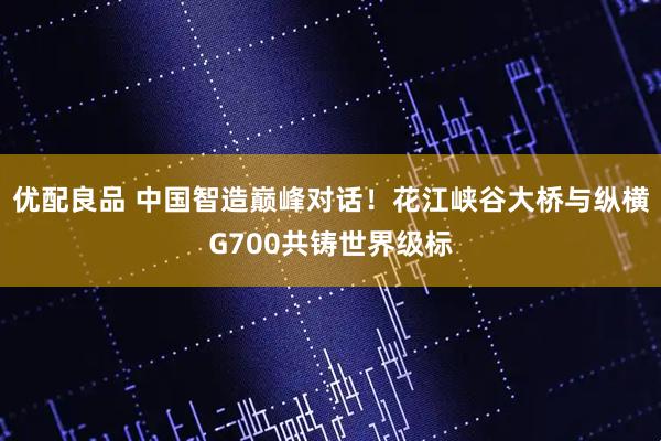优配良品 中国智造巅峰对话！花江峡谷大桥与纵横G700共铸世界级标