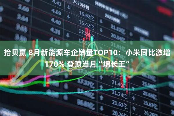 拾贝赢 8月新能源车企销量TOP10：小米同比激增170% 登顶当月“增长王”