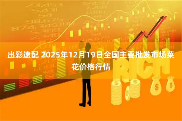 出彩速配 2025年12月19日全国主要批发市场菜花价格行情
