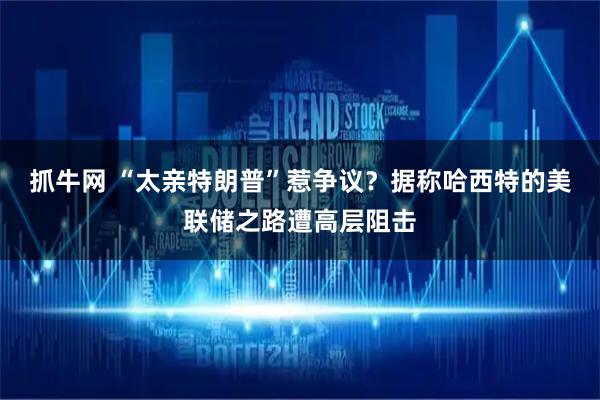 抓牛网 “太亲特朗普”惹争议？据称哈西特的美联储之路遭高层阻击