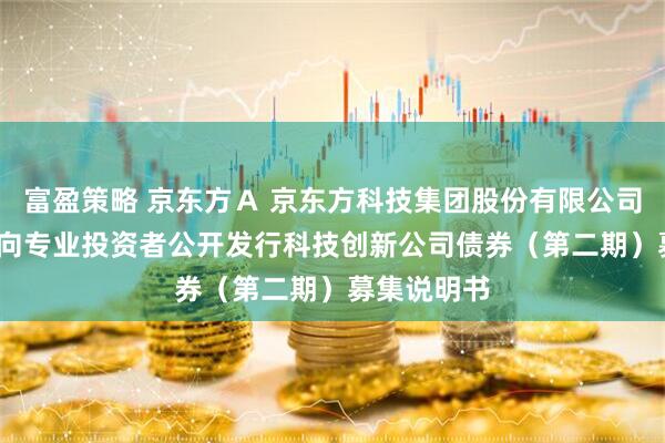 富盈策略 京东方Ａ 京东方科技集团股份有限公司2025年面向专业投资者公开发行科技创新公司债券（第二期）募集说明书