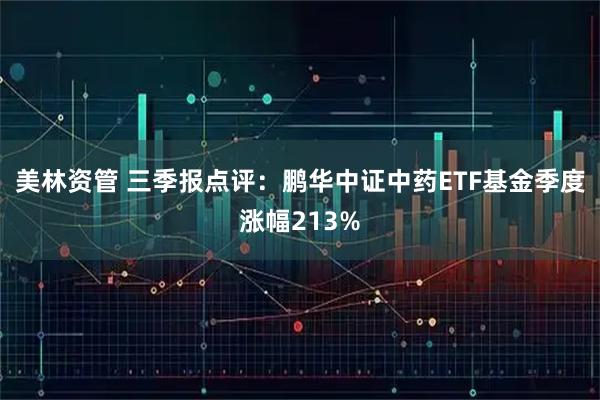 美林资管 三季报点评：鹏华中证中药ETF基金季度涨幅213%